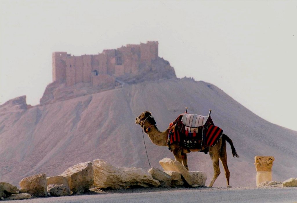 Citadel in Palmyra - Syria